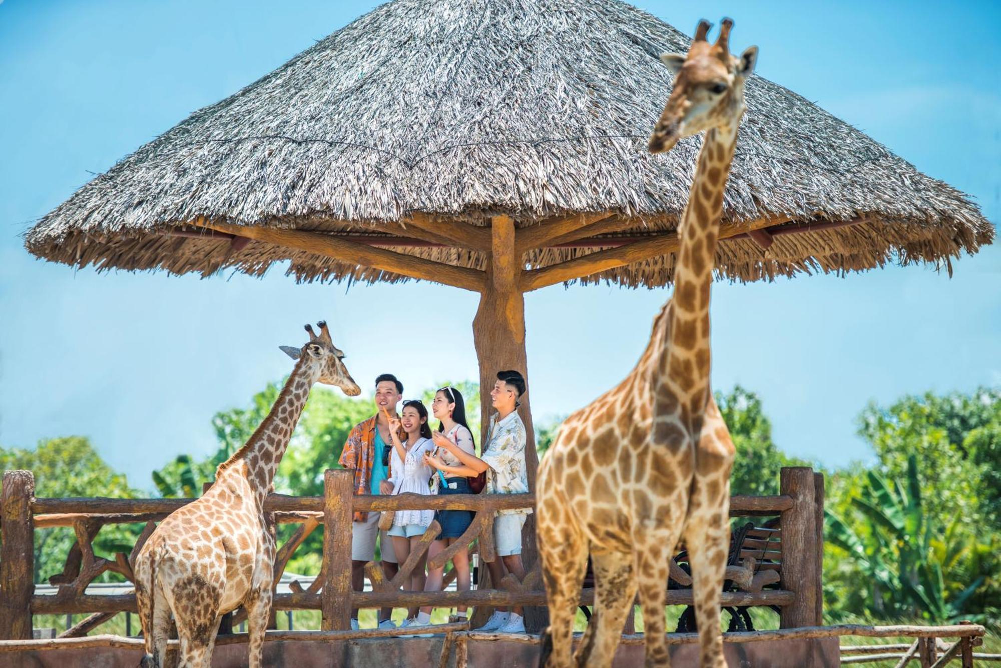 Vinpearl Resort & Golf Nam Hoi An Ha Binh Eksteriør billede
